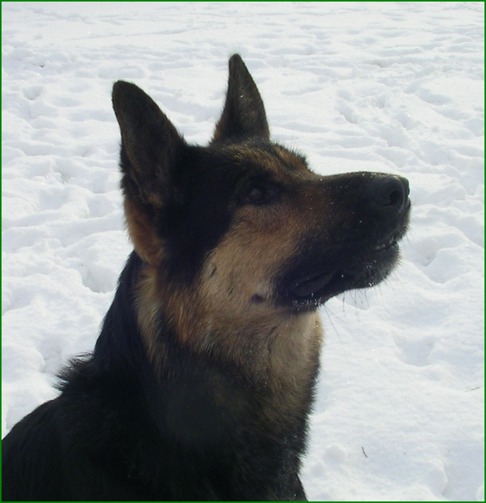 Polda 022.jpg