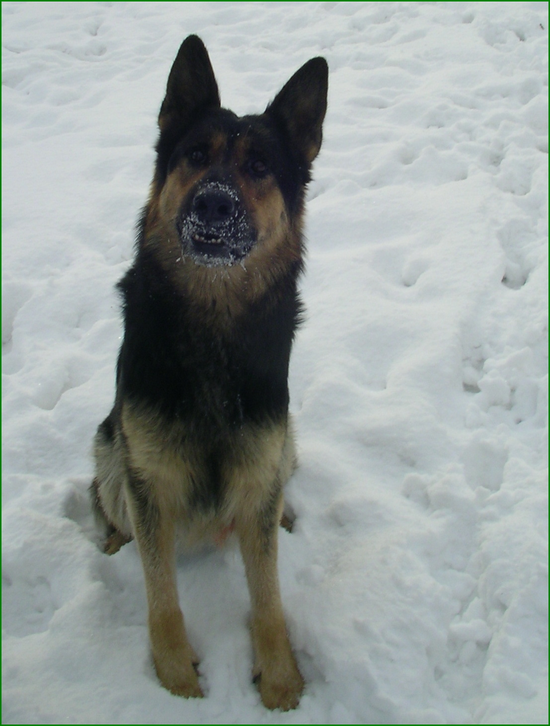 Polda 030.jpg