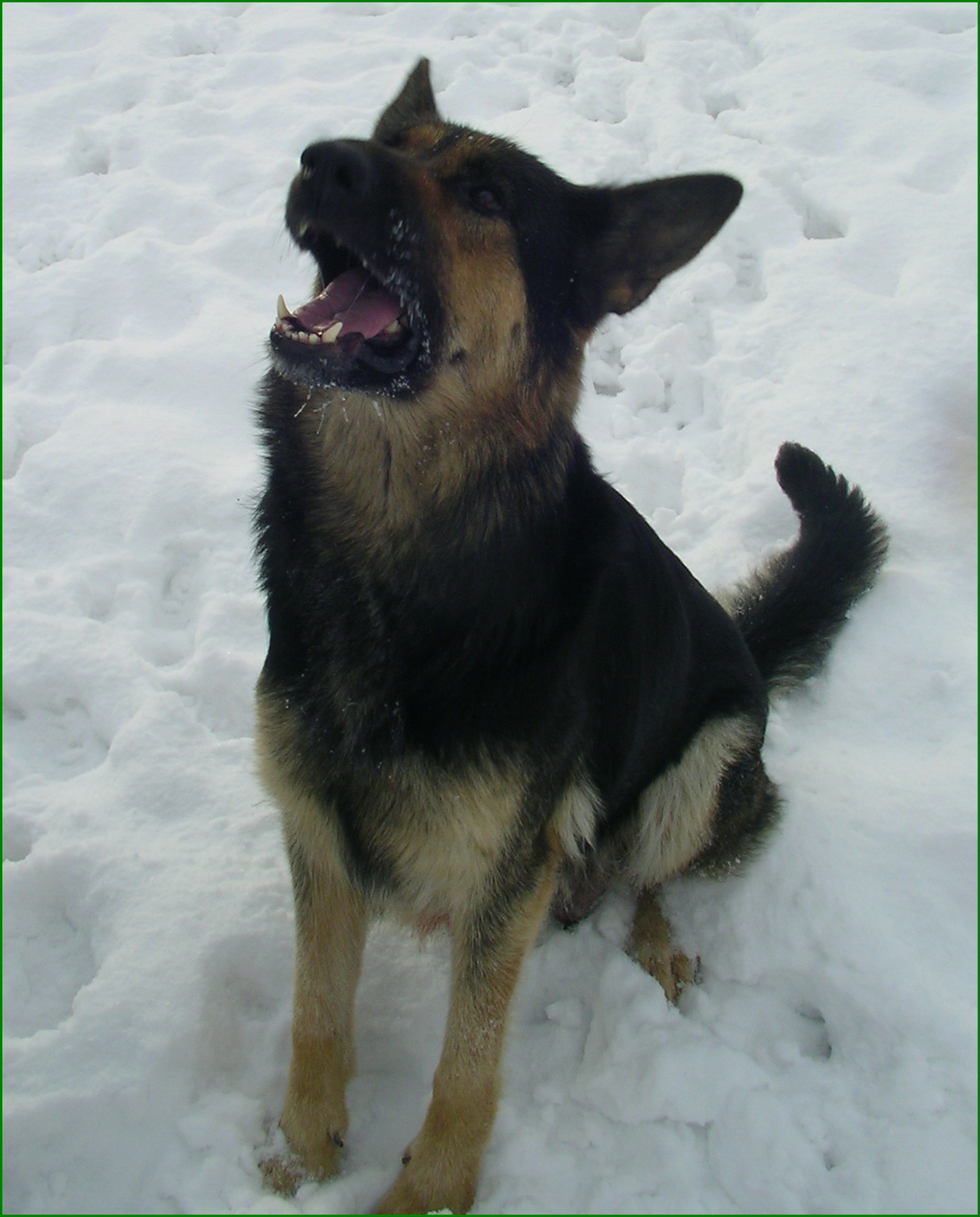 Polda 034.jpg