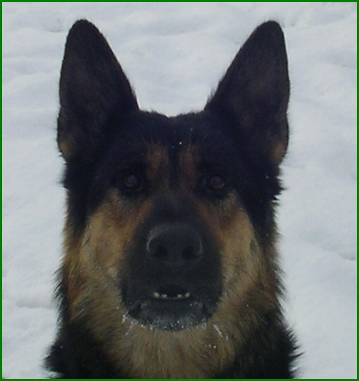 APolda 040.jpg