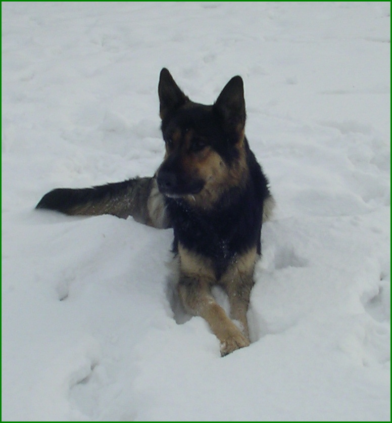 Polda 045.jpg