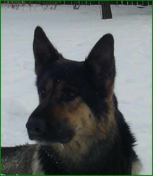 Polda 050.jpg